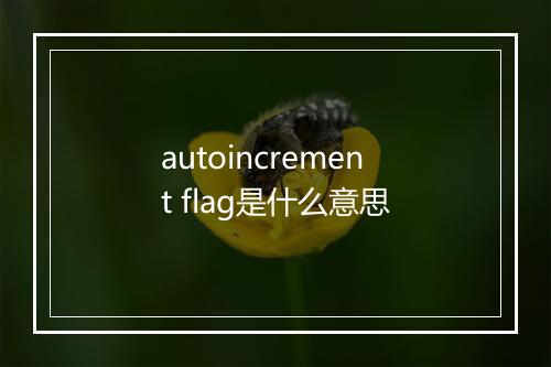 autoincrement flag是什么意思