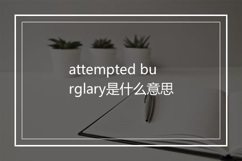 attempted burglary是什么意思