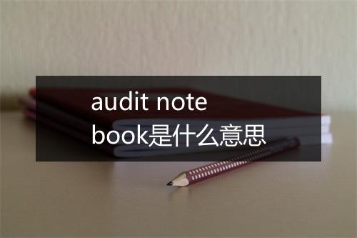 audit notebook是什么意思