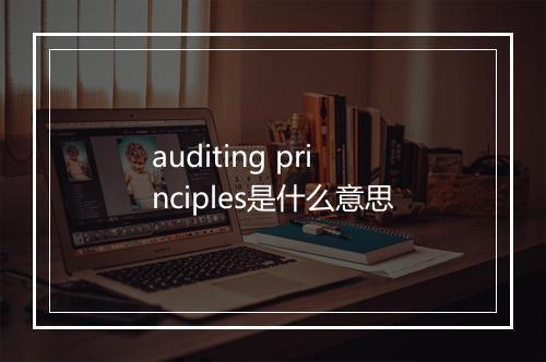 auditing principles是什么意思