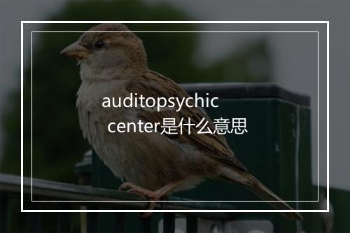 auditopsychic center是什么意思