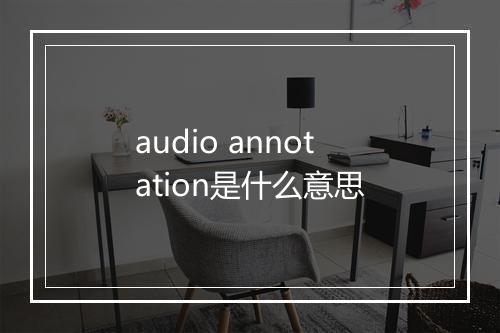 audio annotation是什么意思