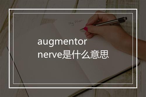 augmentor nerve是什么意思