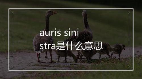 auris sinistra是什么意思