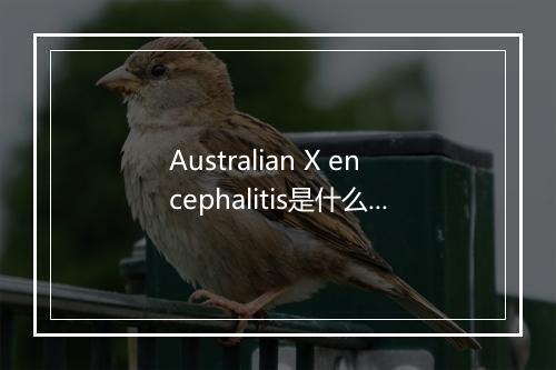 Australian X encephalitis是什么意思