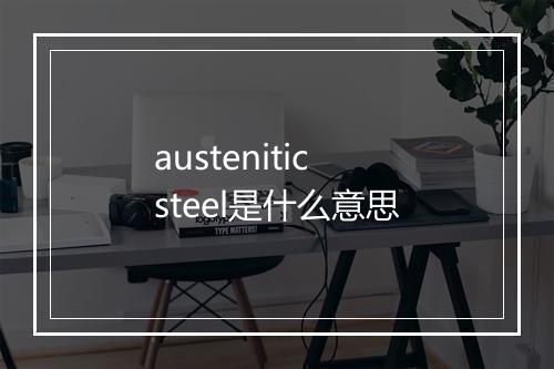 austenitic steel是什么意思