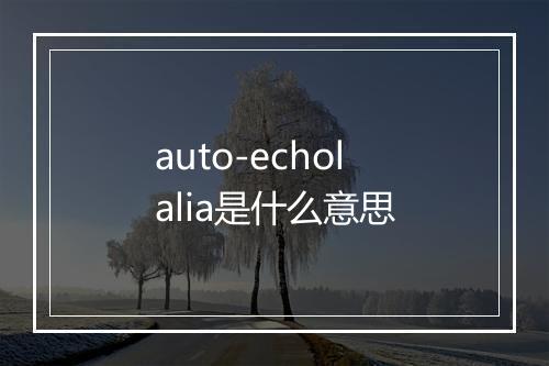 auto-echolalia是什么意思