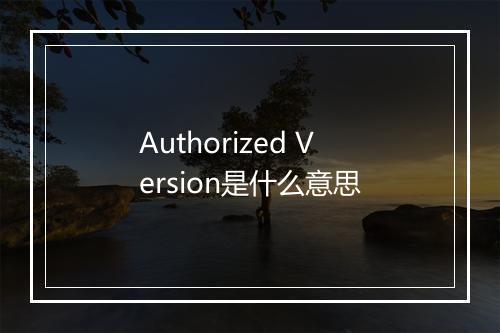 Authorized Version是什么意思