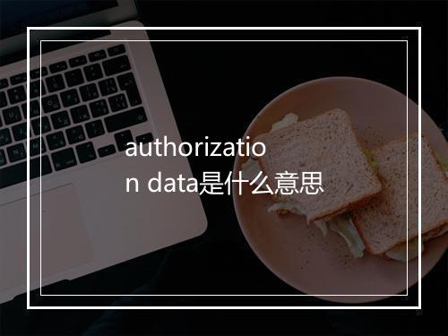 authorization data是什么意思