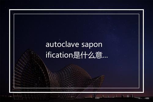 autoclave saponification是什么意思