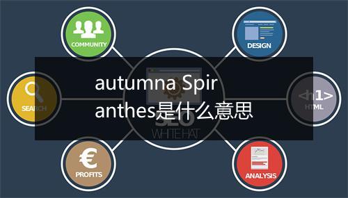 autumna Spiranthes是什么意思