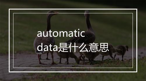 automaticdata是什么意思