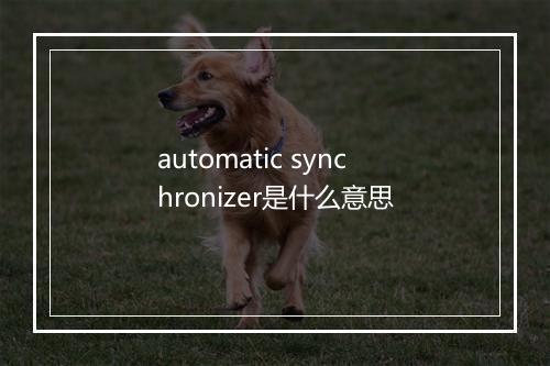 automatic synchronizer是什么意思