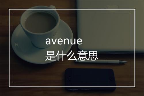 avenue是什么意思