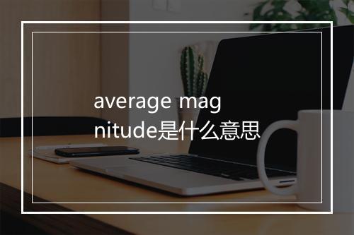 average magnitude是什么意思