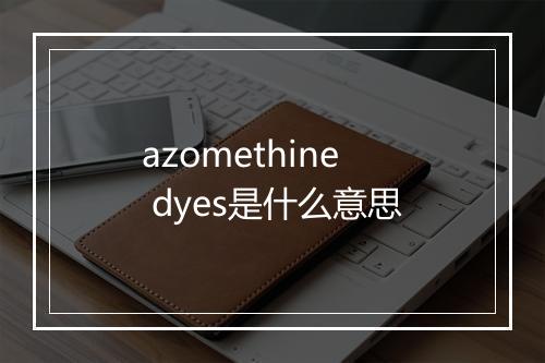 azomethine dyes是什么意思