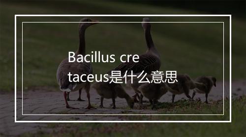 Bacillus cretaceus是什么意思