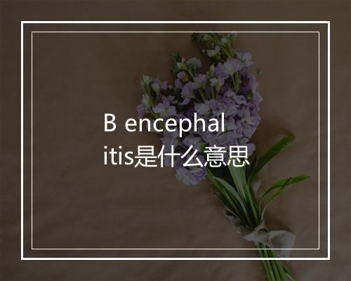 B encephalitis是什么意思