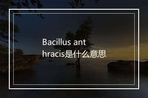 Bacillus anthracis是什么意思