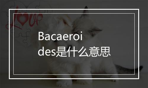 Bacaeroides是什么意思