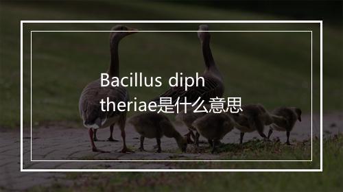 Bacillus diphtheriae是什么意思