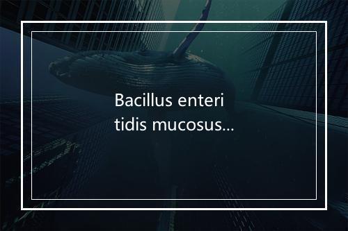 Bacillus enteritidis mucosus是什么意思