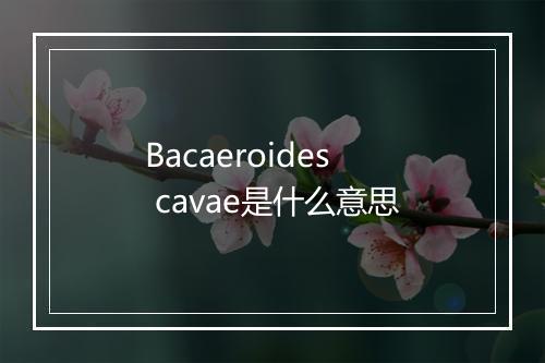 Bacaeroides cavae是什么意思