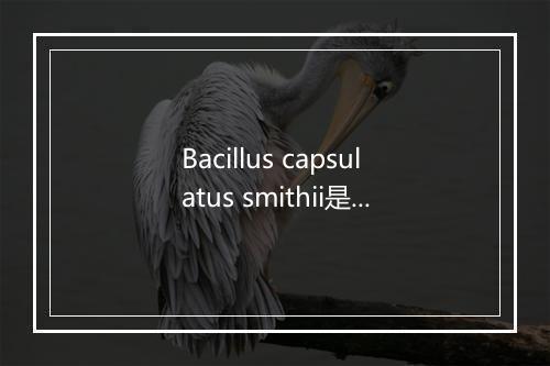 Bacillus capsulatus smithii是什么意思