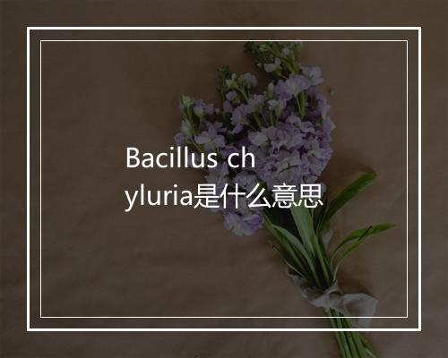 Bacillus chyluria是什么意思