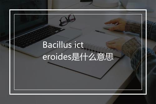 Bacillus icteroides是什么意思