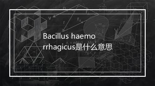 Bacillus haemorrhagicus是什么意思