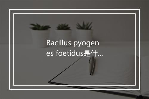 Bacillus pyogenes foetidus是什么意思