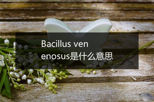 Bacillus venenosus是什么意思