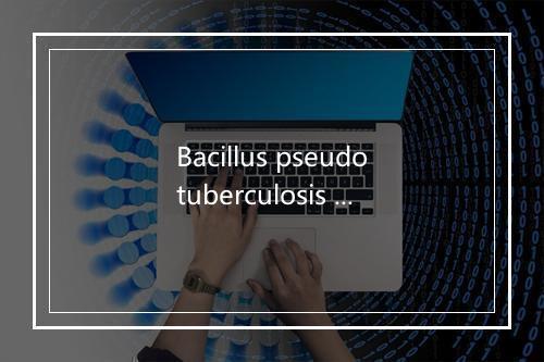 Bacillus pseudotuberculosis rodentium是什么意思