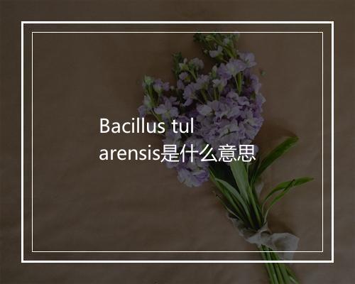 Bacillus tularensis是什么意思