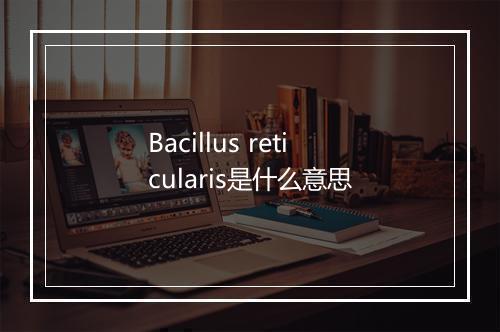 Bacillus reticularis是什么意思