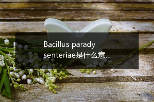 Bacillus paradysenteriae是什么意思