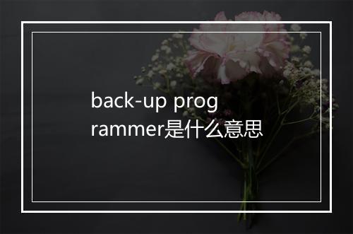 back-up programmer是什么意思