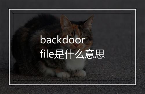 backdoor file是什么意思