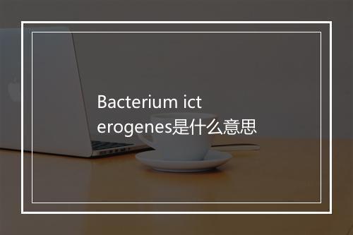 Bacterium icterogenes是什么意思