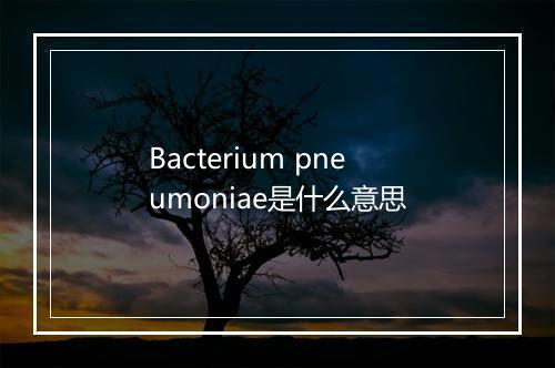 Bacterium pneumoniae是什么意思