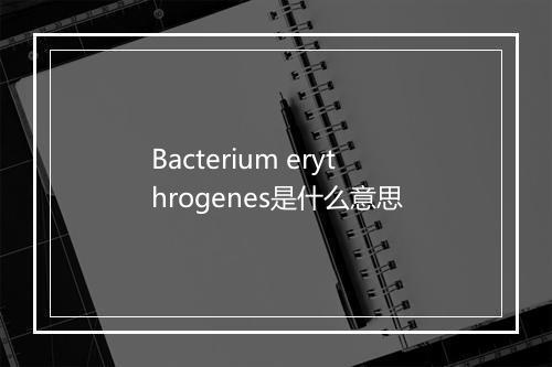 Bacterium erythrogenes是什么意思