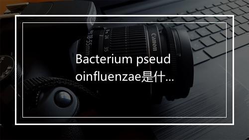 Bacterium pseudoinfluenzae是什么意思