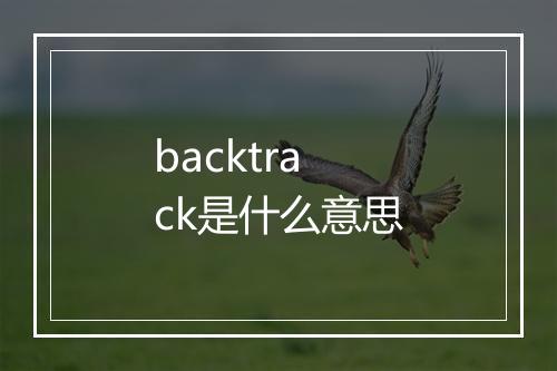 backtrack是什么意思