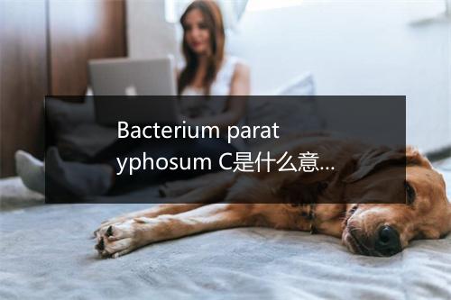 Bacterium paratyphosum C是什么意思