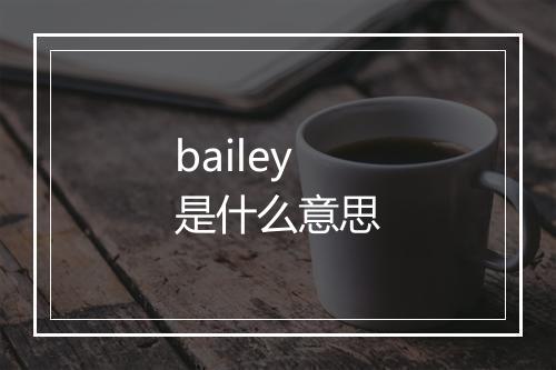 bailey是什么意思