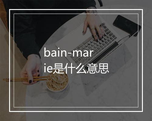 bain-marie是什么意思