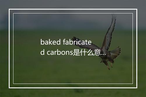 baked fabricated carbons是什么意思