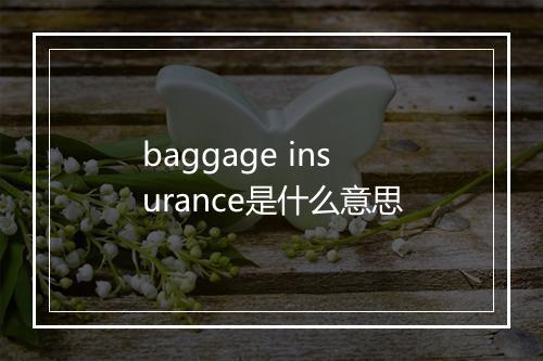 baggage insurance是什么意思