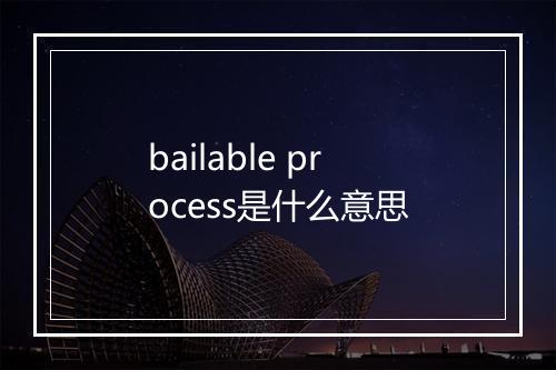 bailable process是什么意思